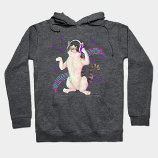 Cat listening to music Hoodie